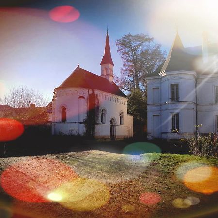 Chateau De Basche Assay Екстер'єр фото